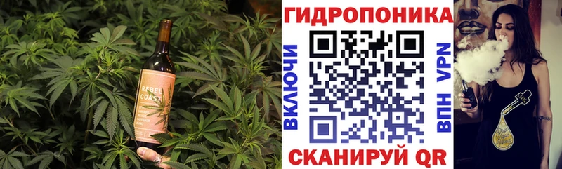 купить закладку  Тулун  Cannafood конопля 