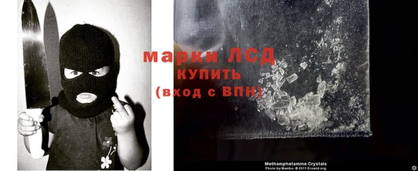стаф Сафоново