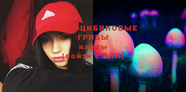 экстази Сатка