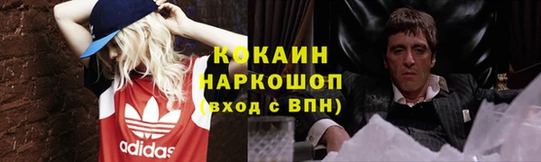 стаф Сафоново