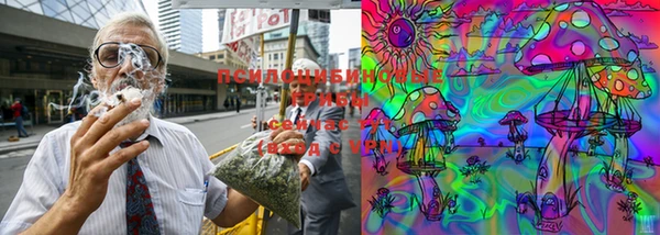 стаф Сафоново