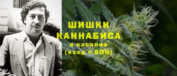 стаф Сафоново
