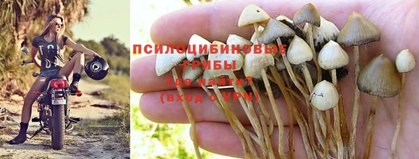 стаф Сафоново