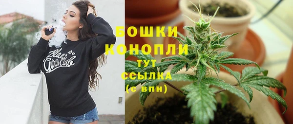 стаф Сафоново