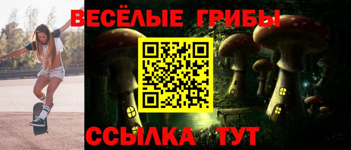 Тулун  купить наркотик  Вход с VPN  Галлюциногенные грибы прущие грибы  Галлюциногенные грибы Psilocybe 